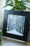 Framed canvas print. Handpainted black frame.  A black and white winter scene of trees at Bellinter.