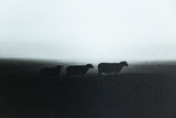 Canvas print. Three sheep on the Irish Landscape.