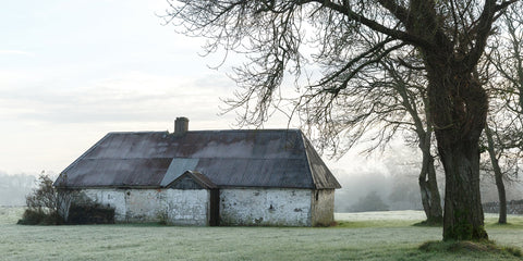 Bective 035 Panoramic