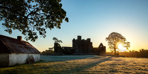 The rising sun lighting up a frosty Bective Abbey and a derelict tin roofed cottage on it's site.  I love this cottage at the Abbey.