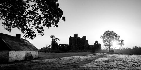 The rising sun lighting up a frosty Bective Abbey and a derelict tin roofed cottage on it's site.  I love this cottage at the Abbey