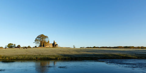 The stunning ruins of Bective Abbey standing tall on the banks of the River Boyne. I shot this in May and it was freezing.  It was the last frosty morning of 2021.