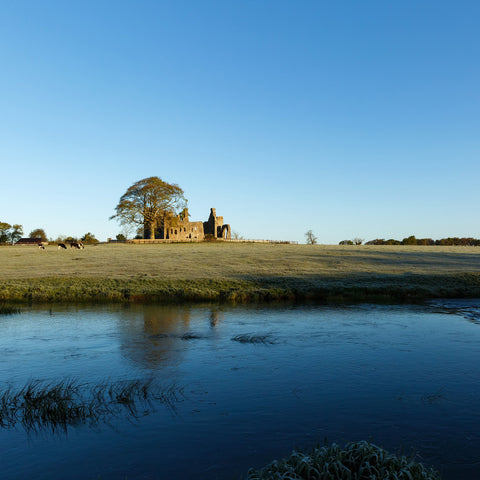 The deep blue river Boyne towards Bective Abbey in the morning sunshine.