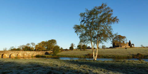 Bective Abbey and Bective Bridge in the morning sunshine in May along the River Boyne.