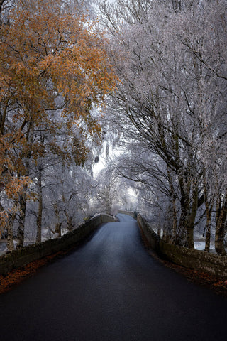 Bective Bridge with frosted trees during the cold snap of December 2022.