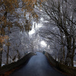 Bective Bridge with frosted trees during the cold snap of December 2022.