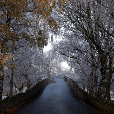 Bective Bridge with frosted trees during the cold snap of December 2022.