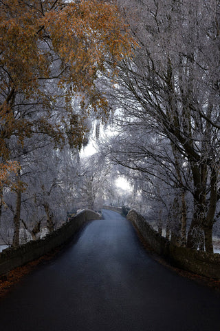 Bective Bridge with frosted trees during the cold snap of December 2022.