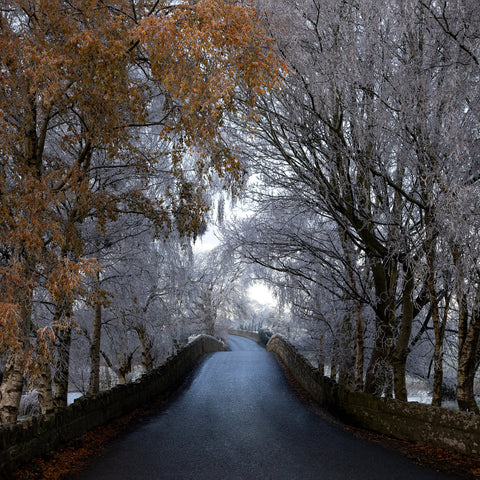 Bective Bridge with frosted trees during the cold snap of December 2022.