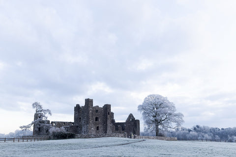 Bective Abbey with frosted trees during the cold snap of December 2022.