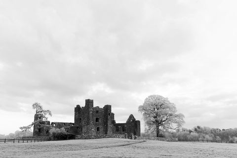 Bective Abbey with frosted trees during the cold snap of December 2022 in black and white.