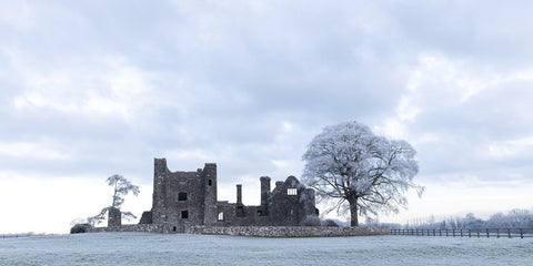 Bective Abbey with frosted trees during the cold snap of December 2022.