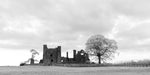Bective Abbey with frosted trees during the cold snap of December 2022.