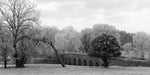 Winter at Bective Bridge with frosted trees during the cold snap of December 2022.