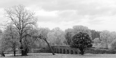 Bective Bridge with frosted trees during the cold snap of December 2022 in black and white.
