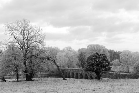 Bective Bridge with frosted trees during the cold snap of December 2022 in black and white.