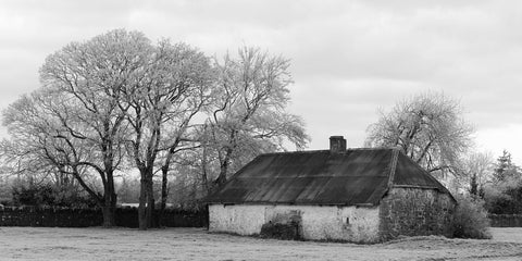 The derelict cottage at Bective Abbey in black and white.