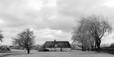 The derelict cottage at Bective Abbey in black and white.