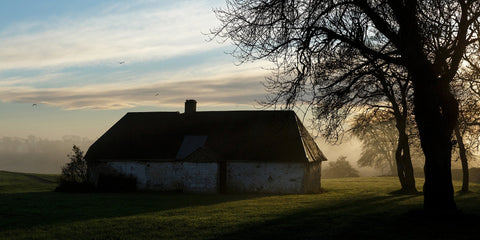 Bective 041 Panoramic