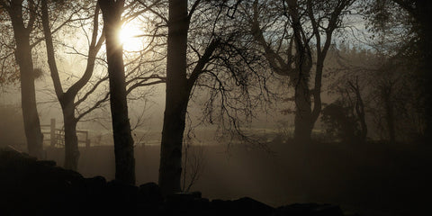 Bective 058 Panoramic