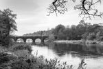 Bridge of the Boyne 004