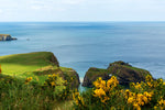 The Carrick-a-Reed Rope Bridge in County Antrim. Originally built for fishermen to acess the best salmon on Carrickarede Island.