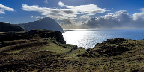 Sheep grazing at the top of the cliffs on Clare Island towards the sun beaming down on the Atlantic Ocean.