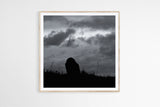 Skryne 004 Square
