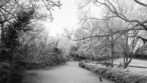 A frosty morning at the Ramparts Navan in black and white.