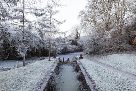 A frosty morning at the canal at the Ramparts in Navan.