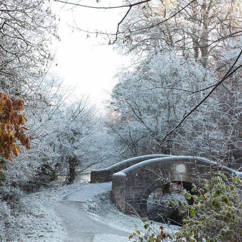 Ruxton Bridge, Navan in the cold snap of December2022.