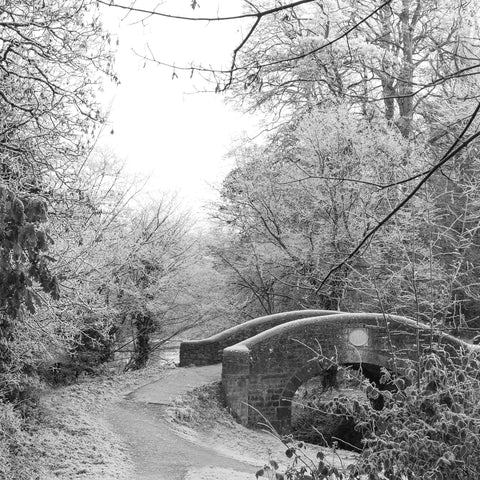 The cold snap of December 2022 at the Ramparts, Navan in black and white.