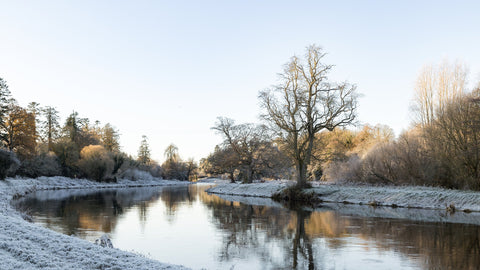The beautiful Boyne at the Ramparts in Navan in the cold snap of 2022.