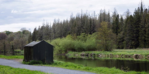 A fisherman's hut on the banks of the Boyne, Co. Meath.