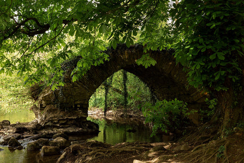 The single arch of what remains of Babes Bridge on the River Boyne located between Rowley's Lock and Dunmoe, Navan.