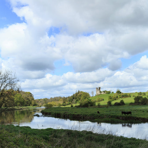 The river Boyne at Ardmulchan towards the ruins of Dunmoe castle basking in the morning sunlight.