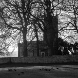 A black and white of the church at Tara in the early morning.  Rooks forage for their breakfast.