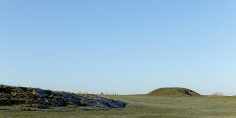 Sheep on the Hill of Tara on a frosty December morning.