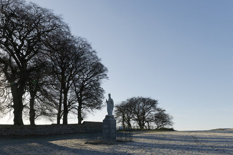 St. Patrick keeping the snakes off Tara Hill.