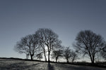 The low winter morning sun casts long shadows on the rolling hill. Tara is a place of outstanding natural beauty.