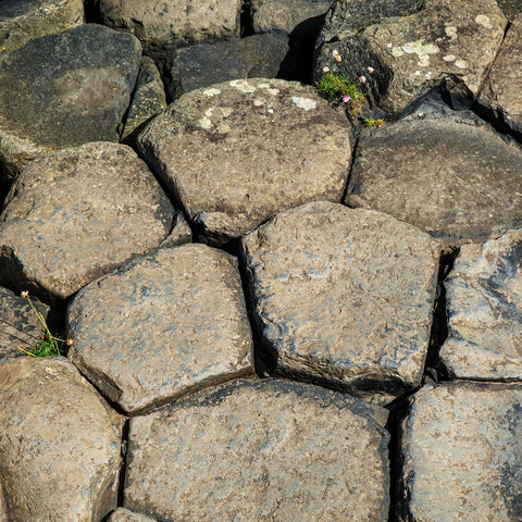 A detail of the rocks of The Giant's Causeway.