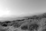 A cloud hanging over Trá na Rossan, one of the most beautiful beaches I've ever been to.