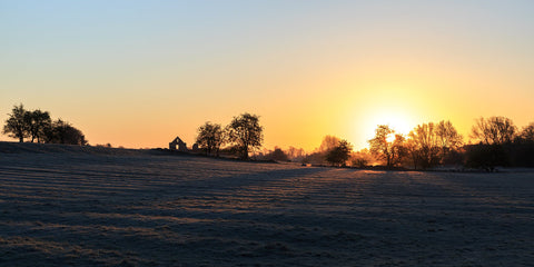 The sun rises and casts some beautiful long shadows over Newtown, Trim.